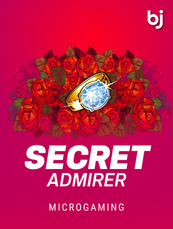 Secret Admirer